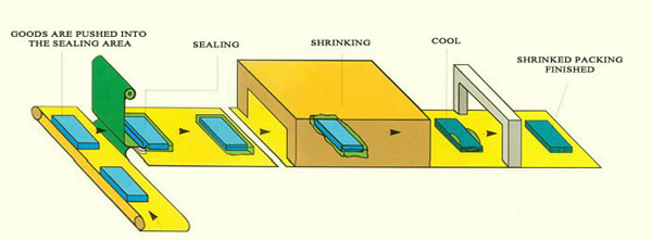 Automatic Shrink Wrap Machine